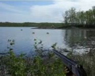 Duck shooter online harcos játék